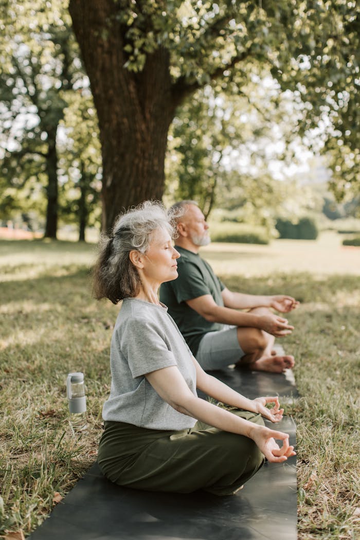 Elderly couple practicing meditation on yoga mats in a sunny park.